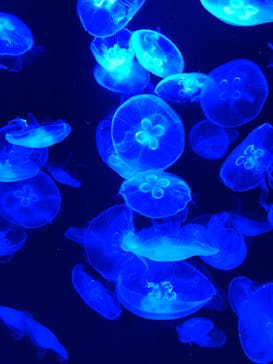 AOAO SAPPOROに投稿された画像（2023/7/22）