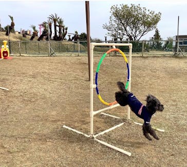 伊豆ぐらんぱる公園に投稿された画像（2023/7/22）