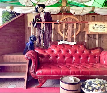 伊豆ぐらんぱる公園に投稿された画像（2023/7/22）