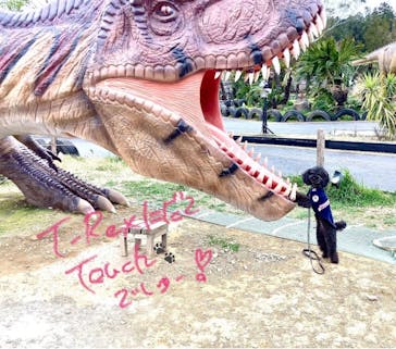 伊豆ぐらんぱる公園に投稿された画像（2023/7/22）