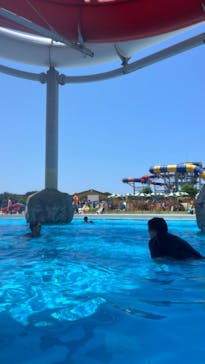 芝政ワールドに投稿された画像（2023/7/22）