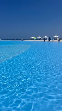 芝政ワールドに投稿された画像（2023/7/22）