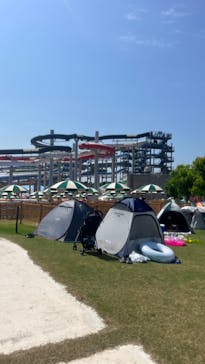 芝政ワールドに投稿された画像（2023/7/22）