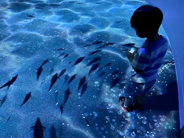 AOAO SAPPOROに投稿された画像（2023/7/22）