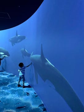 AOAO SAPPOROに投稿された画像（2023/7/22）