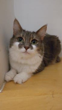 Moff アニマル カフェ イーアス 高尾店に投稿された画像（2023/7/22）