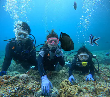 武藤潜水に投稿された画像（2023/7/23）