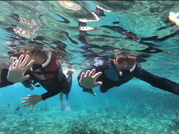 武藤潜水に投稿された画像（2023/7/23）