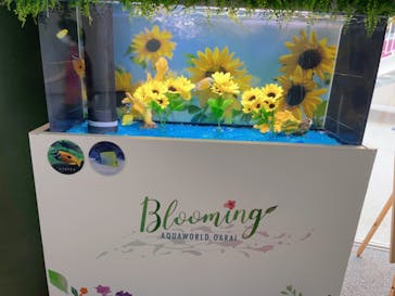 アクアワールド茨城県大洗水族館に投稿された画像（2023/7/23）