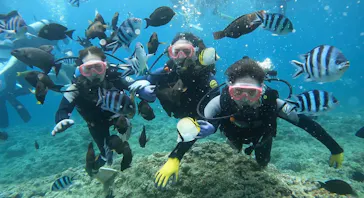 武藤潜水に投稿された画像（2023/7/23）