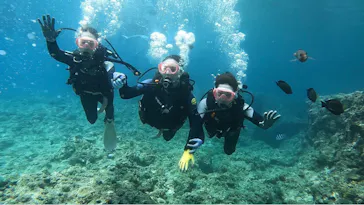 武藤潜水に投稿された画像（2023/7/23）