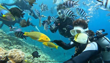 青の洞窟専門店　沖縄ダイビングショップ和に投稿された画像（2023/7/23）