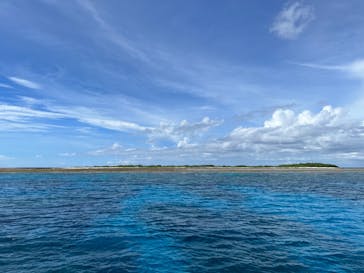 M.a.r.i.n.e Factoryに投稿された画像（2023/7/23）