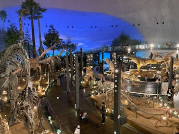 福井県立恐竜博物館に投稿された画像（2023/7/23）