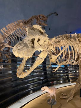 福井県立恐竜博物館に投稿された画像（2023/7/23）