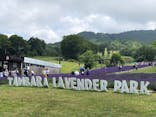 たんばらラベンダーパークに投稿された画像（2023/7/23）