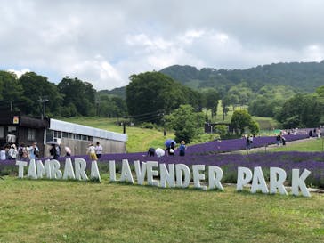 たんばらラベンダーパークに投稿された画像（2023/7/23）