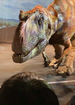 福井県立恐竜博物館に投稿された画像（2023/7/23）