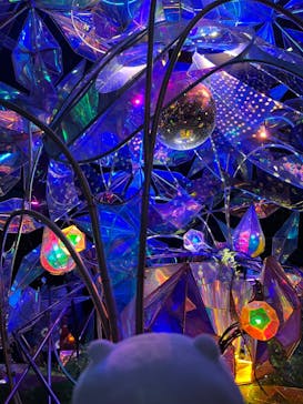 京成バラ園に投稿された画像（2023/7/23）