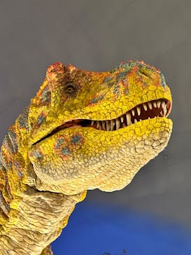 福井県立恐竜博物館に投稿された画像（2023/7/23）