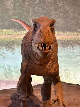 福井県立恐竜博物館に投稿された画像（2023/7/23）