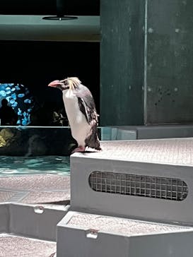 AOAO SAPPOROに投稿された画像（2023/7/23）