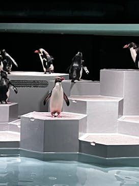 AOAO SAPPOROに投稿された画像（2023/7/23）