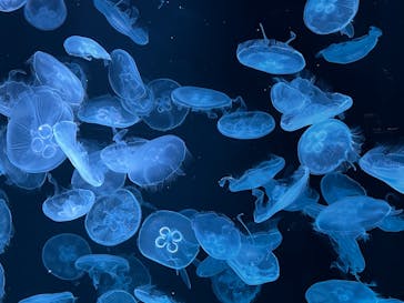 AOAO SAPPOROに投稿された画像（2023/7/23）