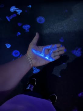 AOAO SAPPOROに投稿された画像（2023/7/23）