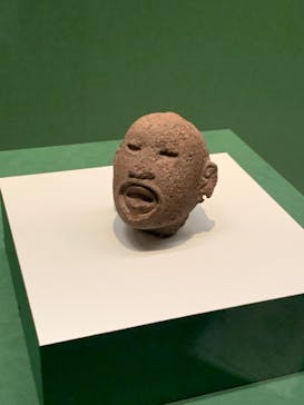 特別展「古代メキシコーマヤ、アステカ、テオティワカン」に投稿された画像（2023/7/23）