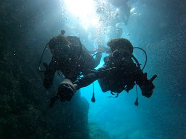 沖縄マリンサービス碧に投稿された画像（2023/7/23）