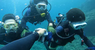 武藤潜水に投稿された画像（2023/7/23）