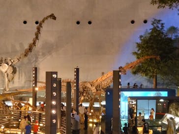 福井県立恐竜博物館に投稿された画像（2023/7/23）