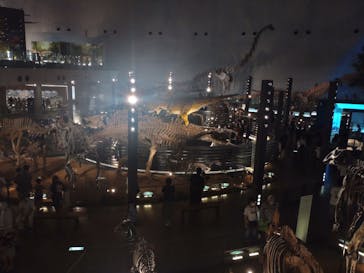 福井県立恐竜博物館に投稿された画像（2023/7/23）