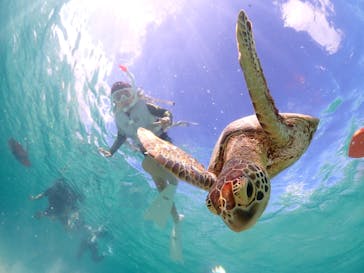 宮古島マリン GB QUESTに投稿された画像（2023/7/23）