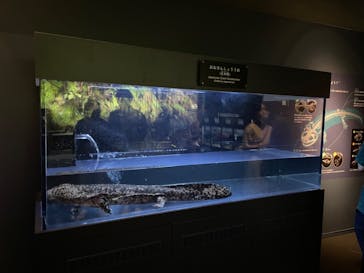 京都水族館に投稿された画像（2023/7/23）