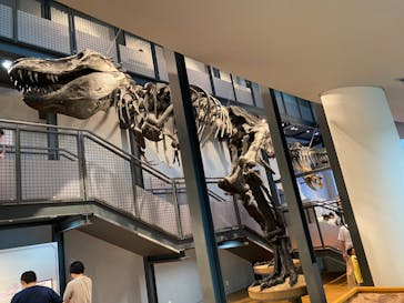 福井県立恐竜博物館に投稿された画像（2023/7/23）