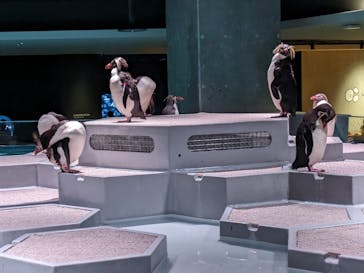 AOAO SAPPOROに投稿された画像（2023/7/23）