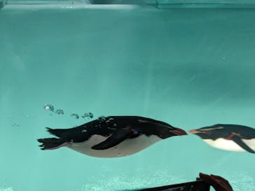 AOAO SAPPOROに投稿された画像（2023/7/23）