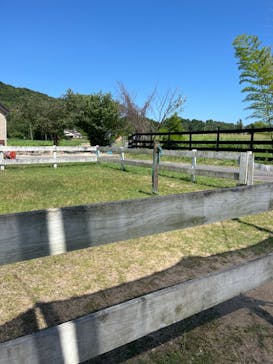 淡路ファームパーク イングランドの丘に投稿された画像（2023/7/23）