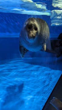 サンシャイン水族館に投稿された画像（2023/7/23）