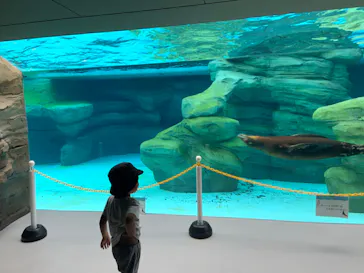 天王寺動物園に投稿された画像（2023/7/23）