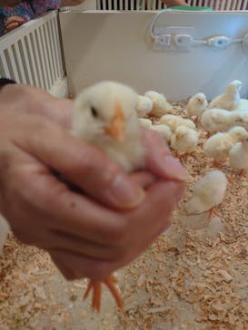 アニタッチアクアシティお台場に投稿された画像（2023/7/23）