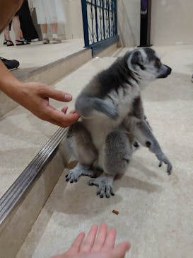 アニタッチアクアシティお台場に投稿された画像（2023/7/23）