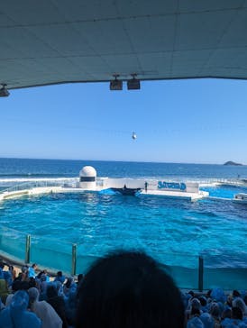 鴨川シーワールドに投稿された画像（2023/7/23）