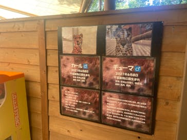 姫路セントラルパークに投稿された画像（2023/7/23）