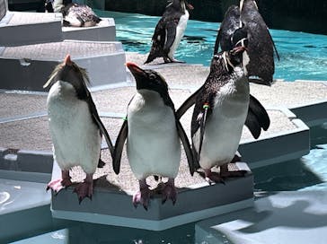 AOAO SAPPOROに投稿された画像（2023/7/23）