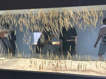 AOAO SAPPOROに投稿された画像（2023/7/23）