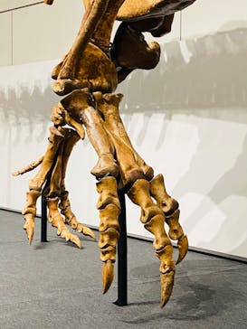 大阪市立自然史博物館に投稿された画像（2023/7/22）