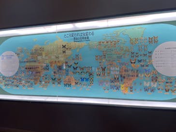 大阪市立自然史博物館に投稿された画像（2023/7/22）